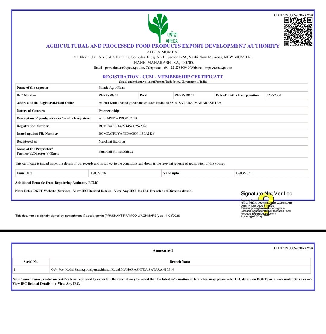 APEDA Registration